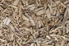 biomass boilers Long Drax